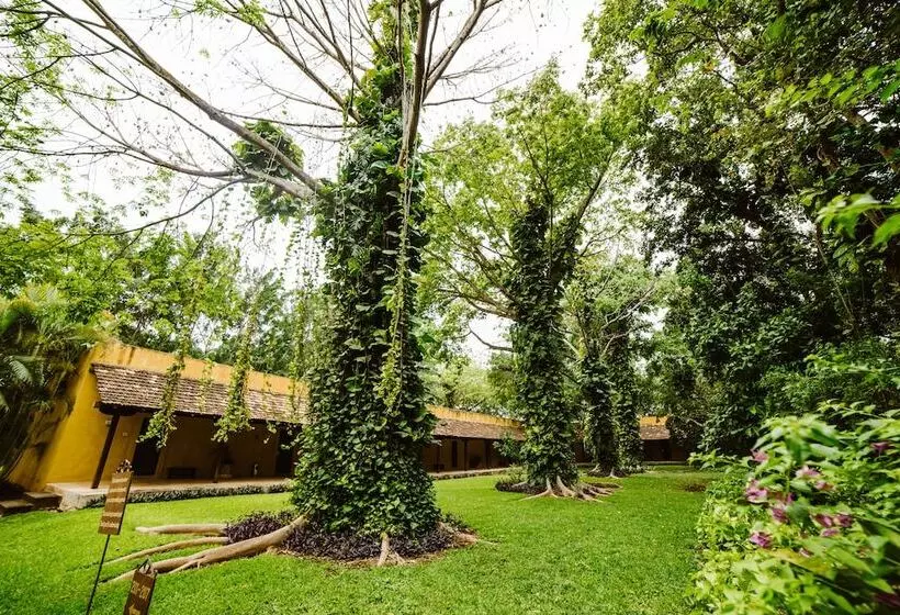 Fotos del hotel Hacienda Misne:  21