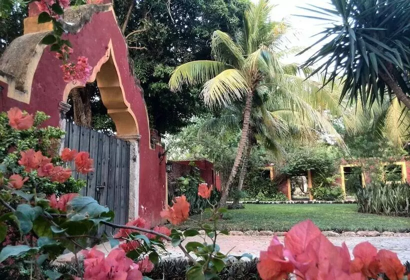 Fotos del hotel Hacienda Misne:  7