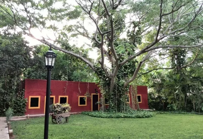 Fotos del hotel Hacienda Misne:  24