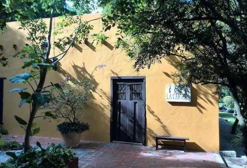 Fotos del hotel Hacienda Misne:  19