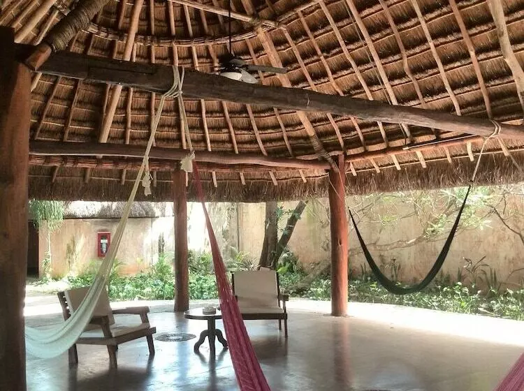 Fotos del hotel Hacienda Misne:  2