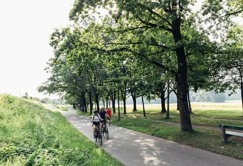 Fotos del hotel Harry S Home  Linz:  22