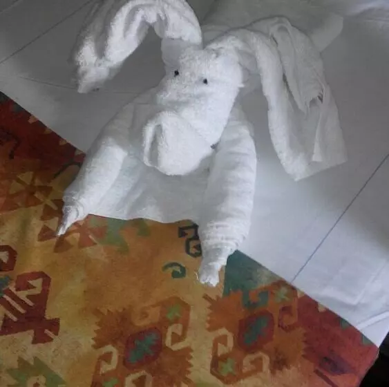 Fotos del hotel King Hotel Cairo:  25