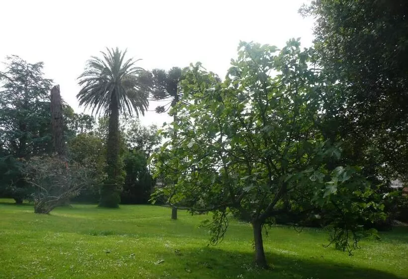 Fotos del hotel Las Carolinas Garden:  22