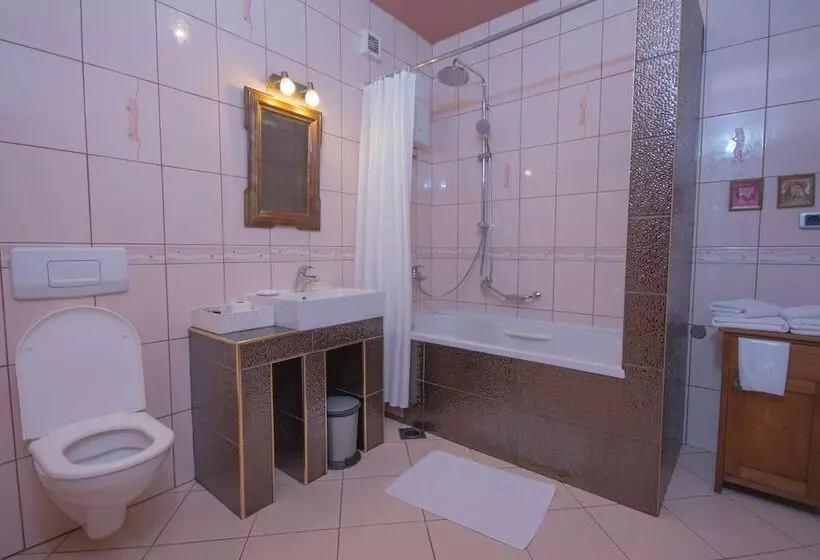 Fotos del hotel Michele:  9