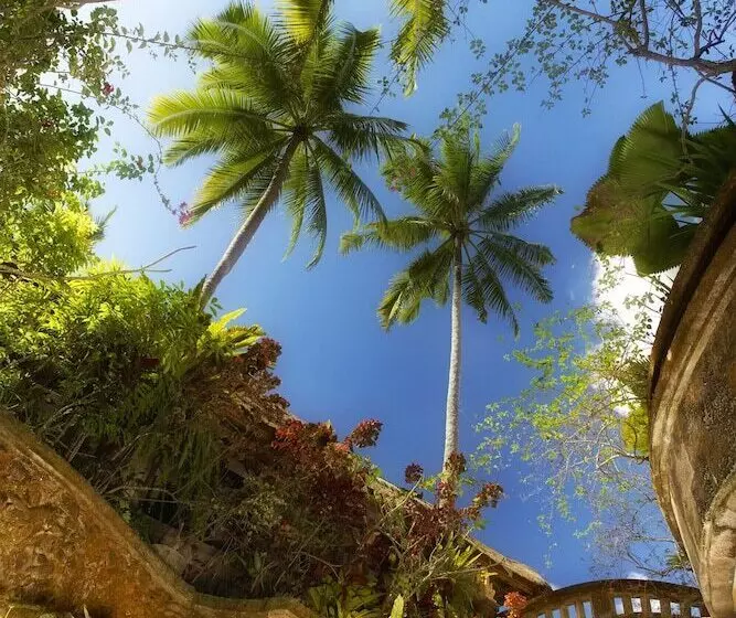 Fotos del hotel Viceroy Bali:  14