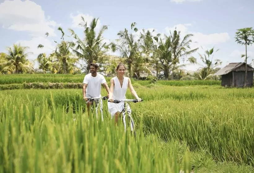 Fotos del hotel Viceroy Bali:  12