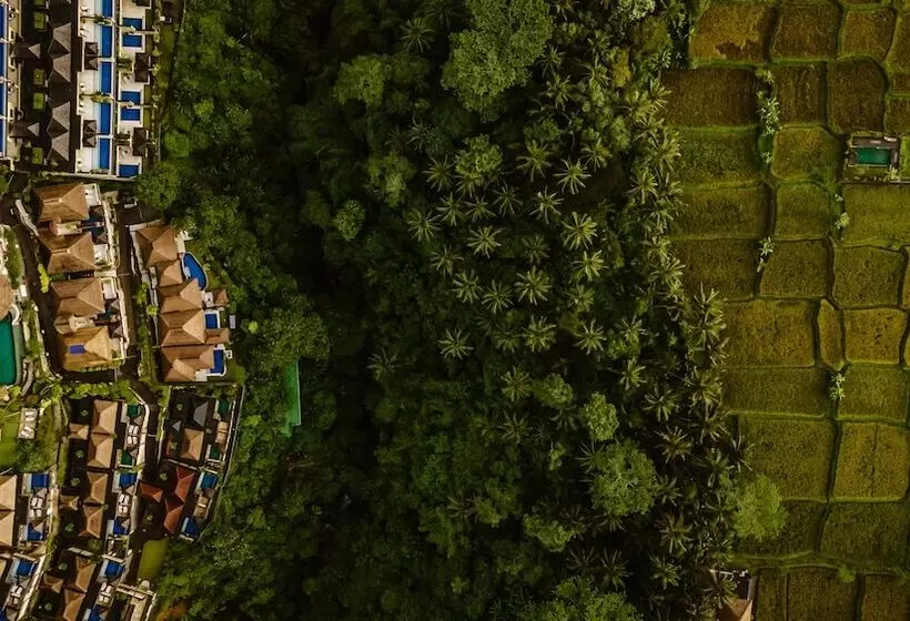 Fotos del hotel Viceroy Bali:  8