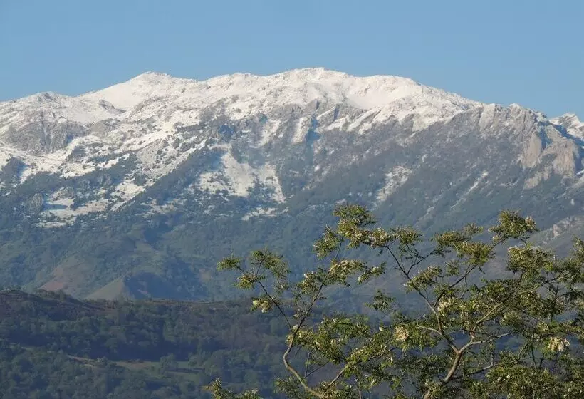 Fotos del hotel Castillo Del Bosque La Zoreda:  5