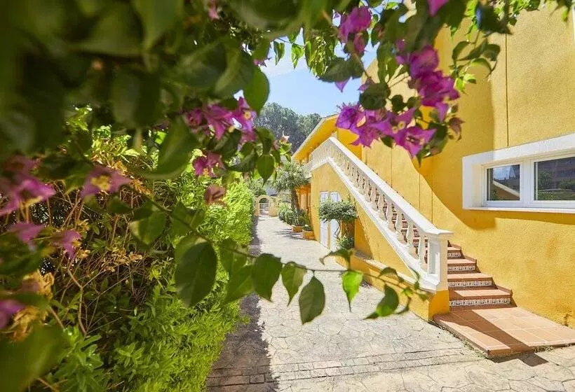 Fotos del hotel Cupidor:  13