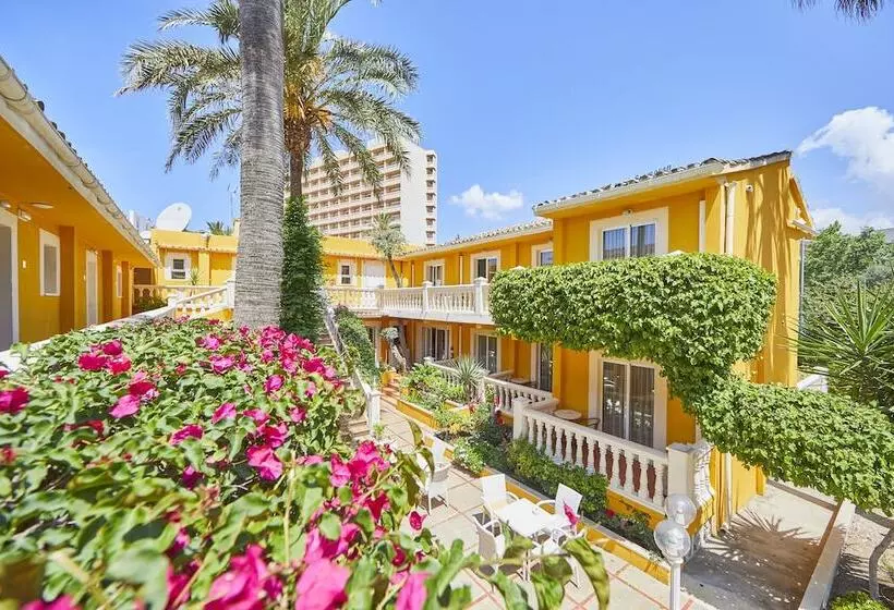 Fotos del hotel Cupidor:  9