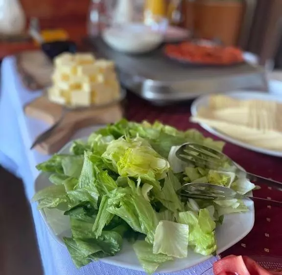 Fotos del hotel Domovina:  16