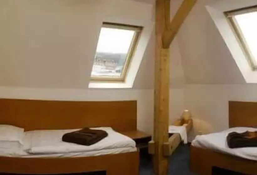 Fotos del hotel Domovina:  8