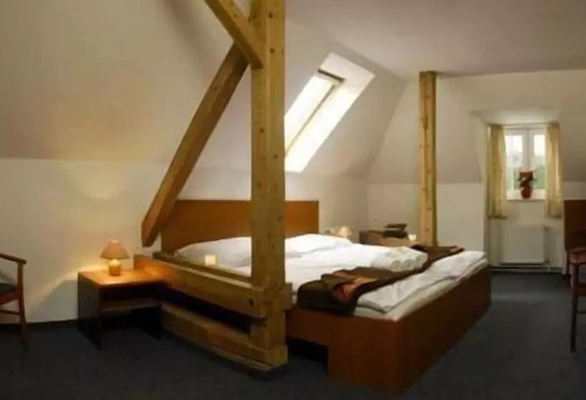 Fotos del hotel Domovina:  21