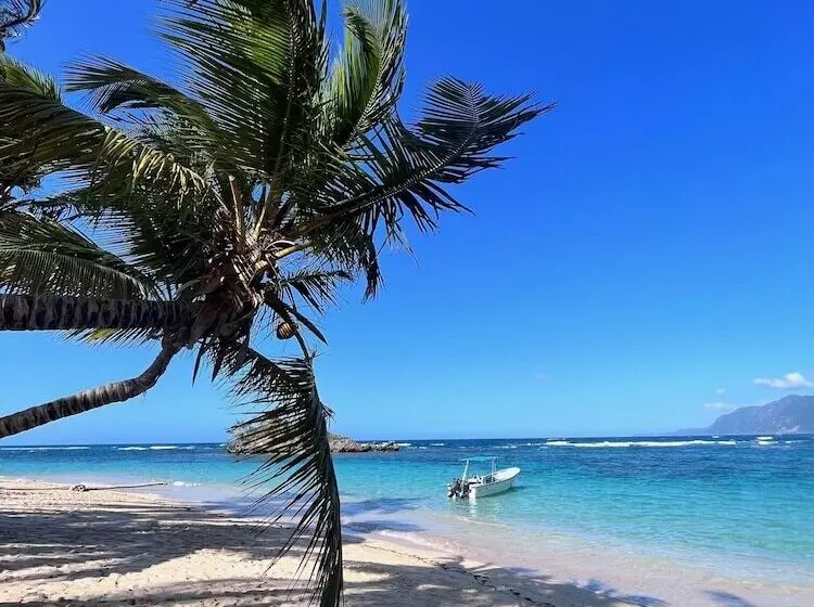 Fotos del hotel Hotel La Tortuga:  13