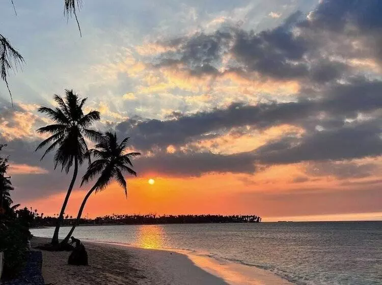 Fotos del hotel Hotel La Tortuga:  11