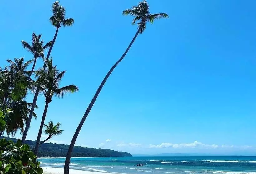 Fotos del hotel Hotel La Tortuga:  4