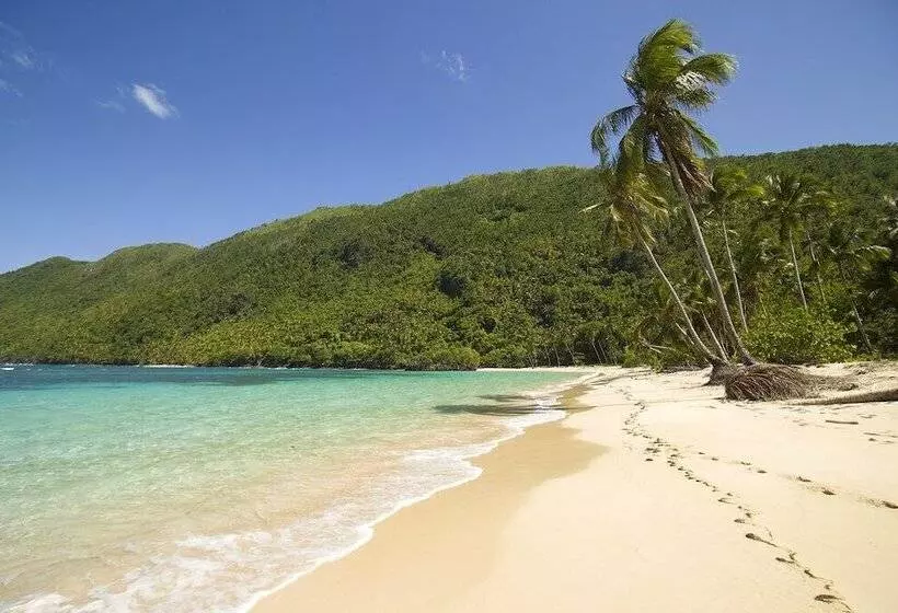 Fotos del hotel Hotel La Tortuga:  7