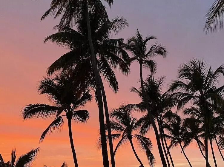 Fotos del hotel Hotel La Tortuga:  14