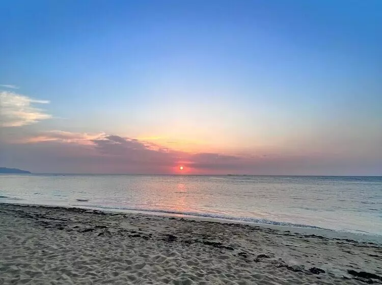 Fotos del hotel Hotel La Tortuga:  8