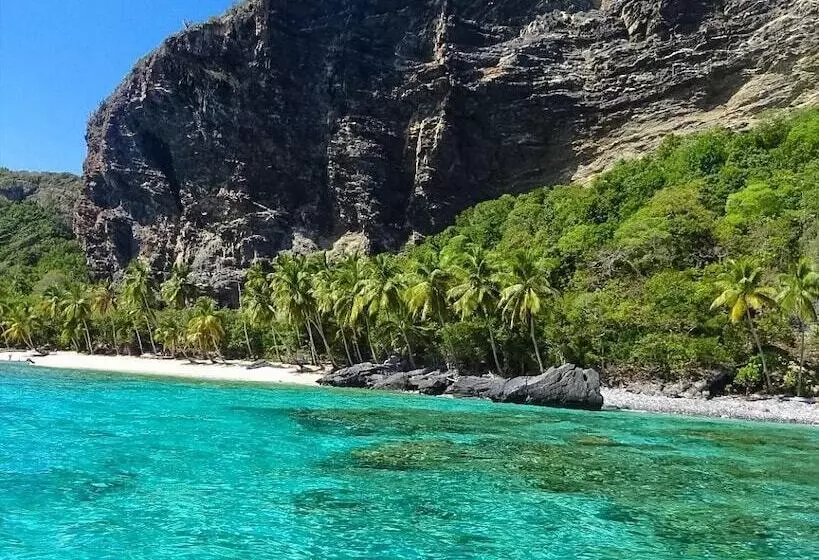 Fotos del hotel Hotel La Tortuga:  15