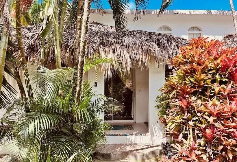 Fotos del hotel Hotel La Tortuga:  12