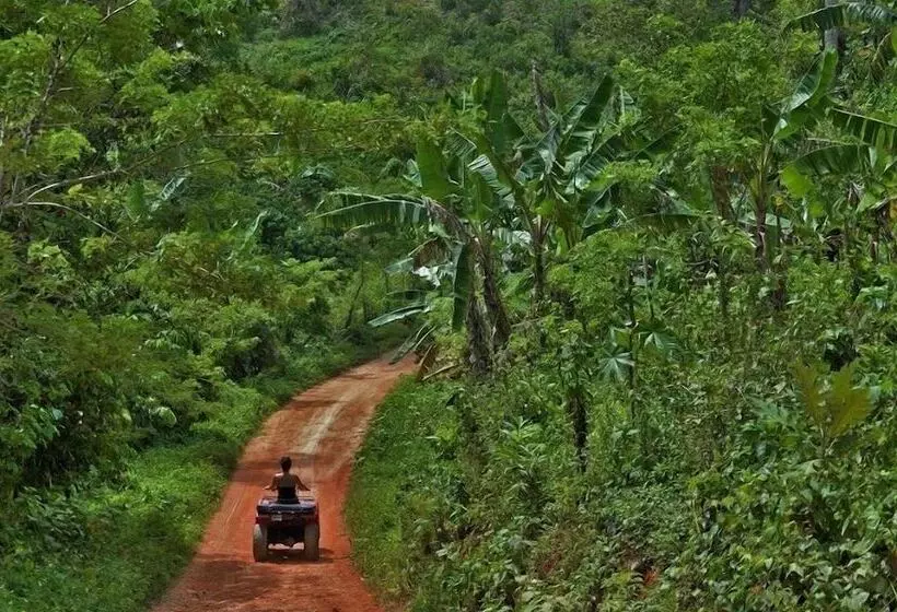 Fotos del hotel Hotel La Tortuga:  5