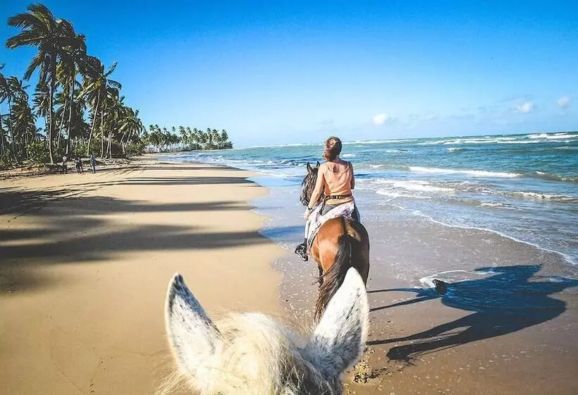 Fotos del hotel Hotel La Tortuga:  9