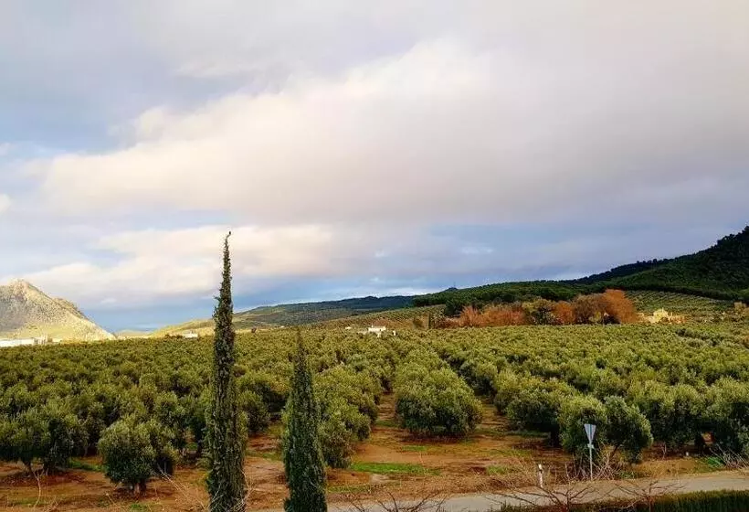 Fotos del hotel Los Dólmenes:  14