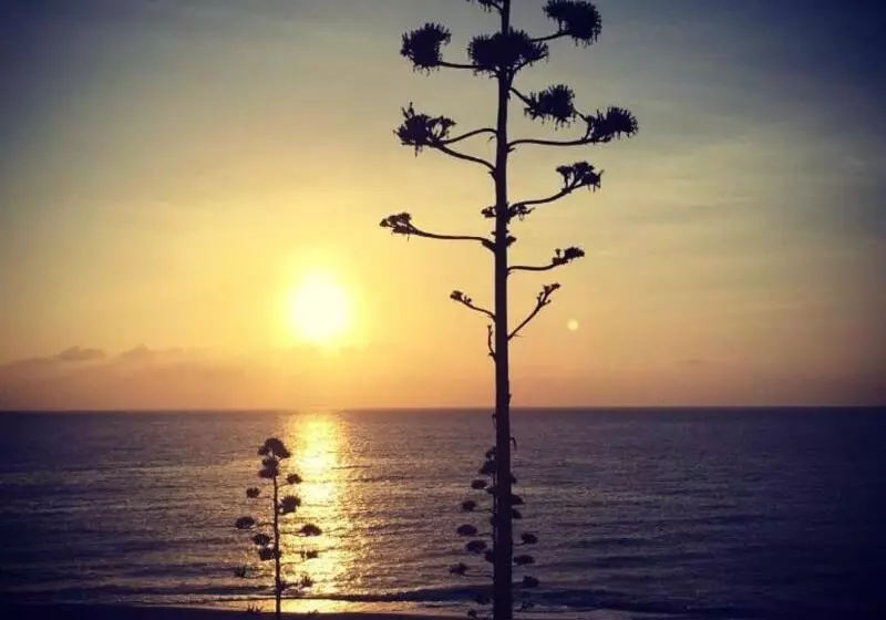 Fotos del hotel Ch Cabo De Gata:  11