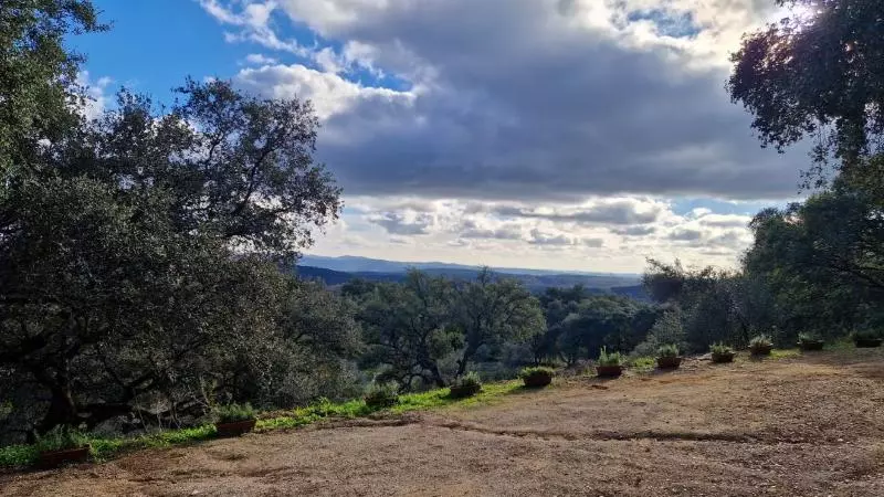 Fotos del hotel La Era De Aracena  Adults Only:  5