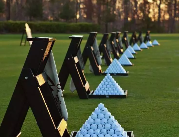 Fotos del hotel Signia By Hilton Orlando Bonnet Creek:  3