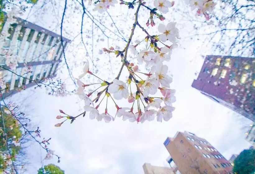 Fotos del hotel Ginza Capital  Main:  19