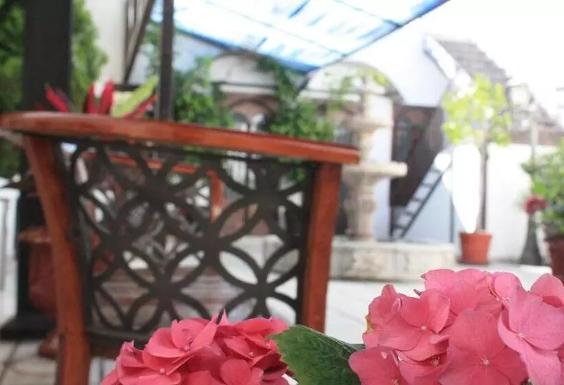 Fotos del hotel Casa De La Luna:  9