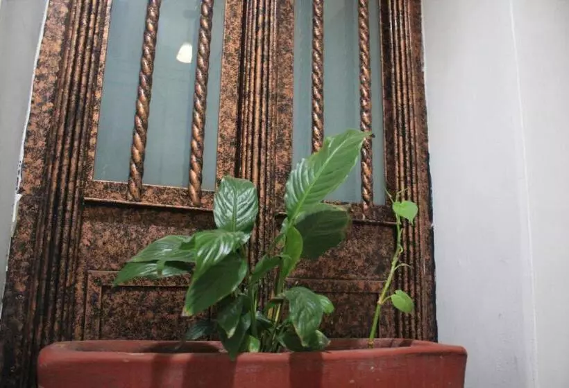 Fotos del hotel Casa De La Luna:  6