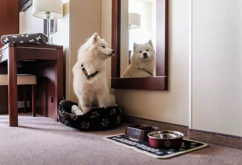 Fotos del hotel Kossak:  24