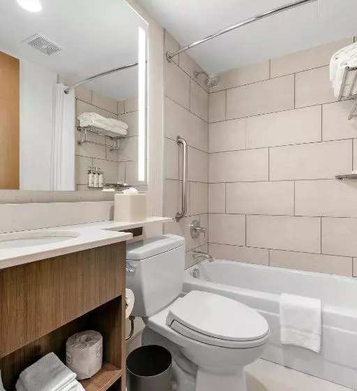 Fotos del hotel Holiday Inn Manhattan 6th Ave - Chelsea, An Ihg:  6