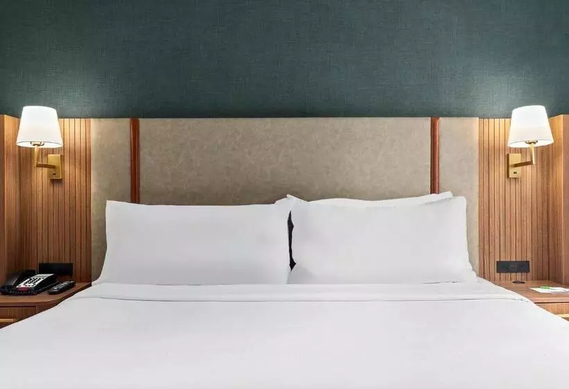 Fotos del hotel Holiday Inn Manhattan 6th Ave - Chelsea, An Ihg:  24