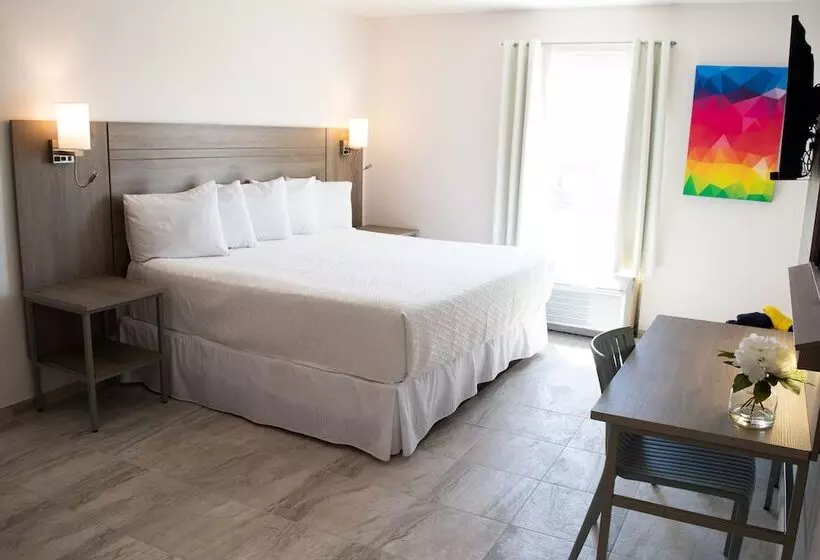 Fotos del hotel Mesaluna Near American Consulate:  12