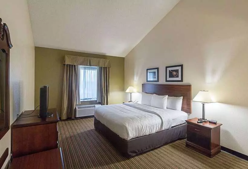 Fotos del hotel Quality Inn & Suites West Chase:  21