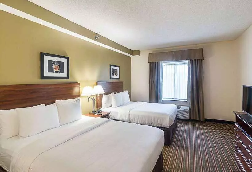 Fotos del hotel Quality Inn & Suites West Chase:  18