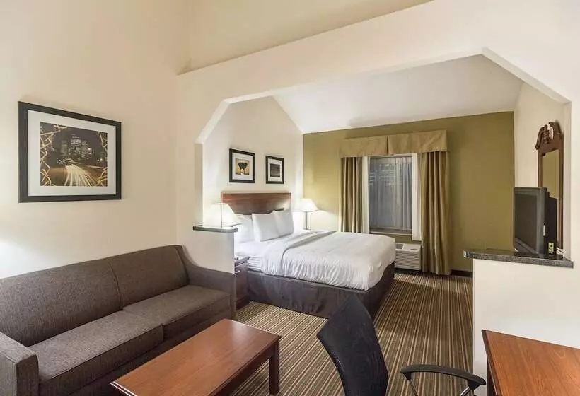 Fotos del hotel Quality Inn & Suites West Chase:  5