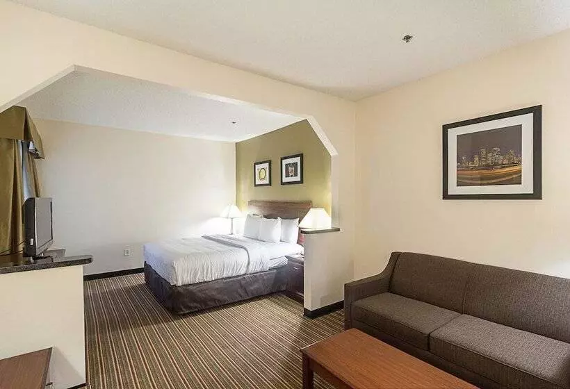 Fotos del hotel Quality Inn & Suites West Chase:  7