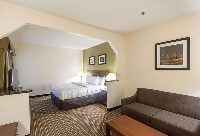 Fotos del hotel Quality Inn & Suites West Chase:  16