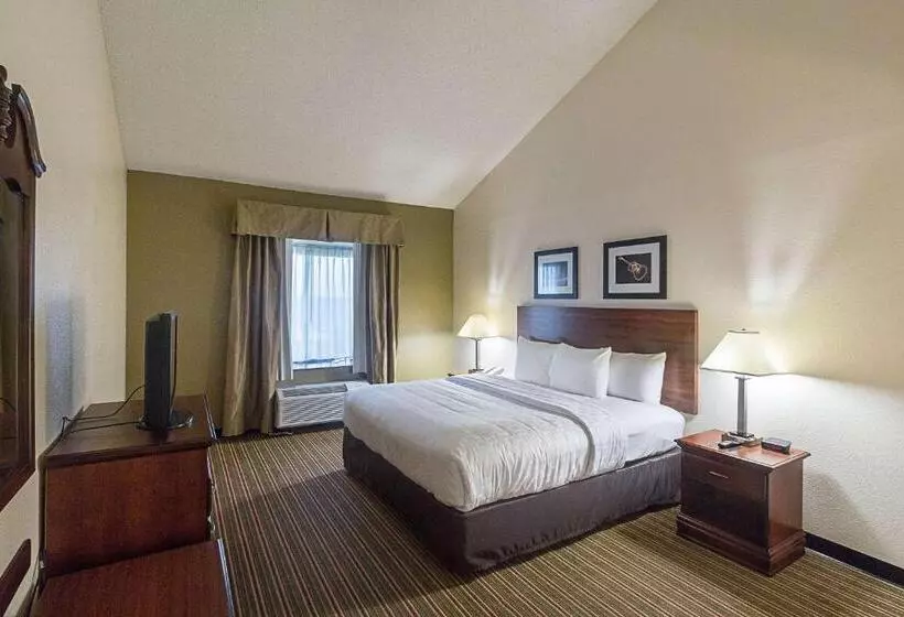 Fotos del hotel Quality Inn & Suites West Chase:  12