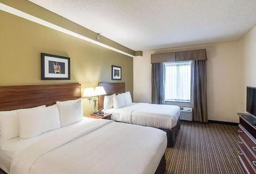 Fotos del hotel Quality Inn & Suites West Chase:  11