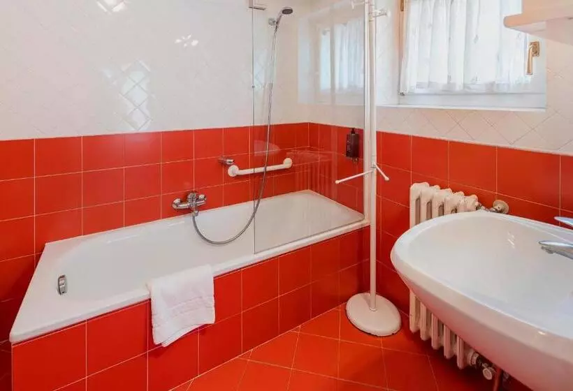 Fotos del hotel Royal Hotel Cortina:  21