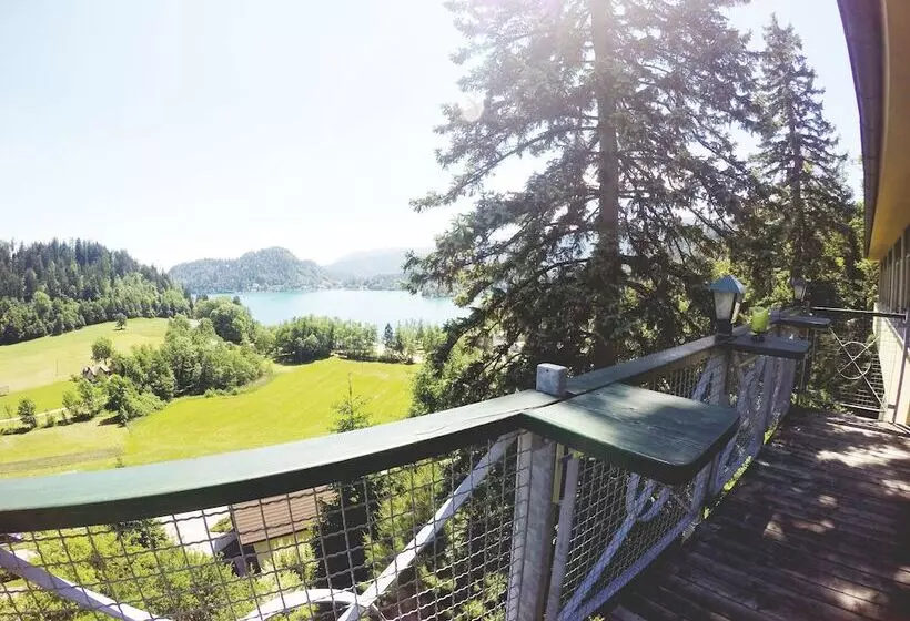 Fotos del hotel Triglav:  3