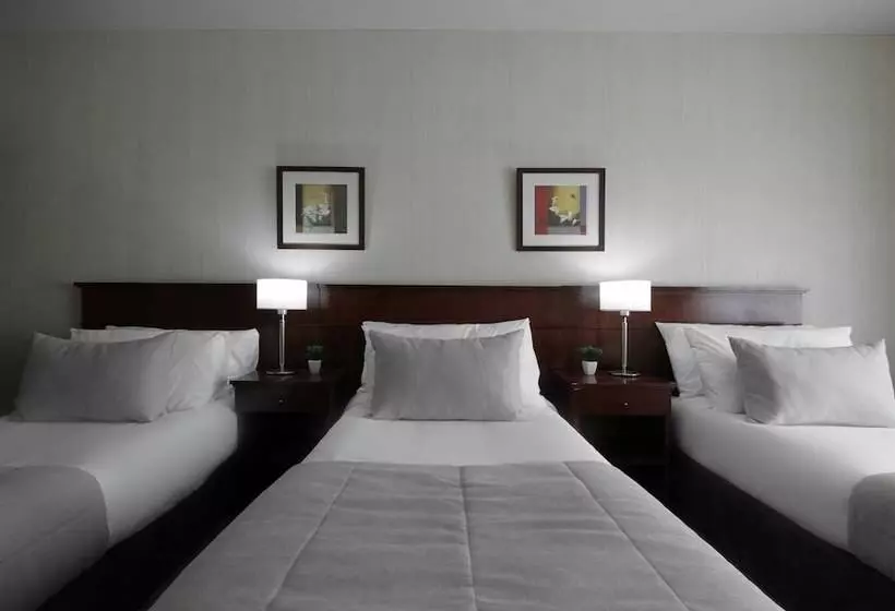 Fotos del hotel 8 De Octubre:  8