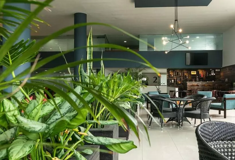 Fotos del hotel Carretero:  14